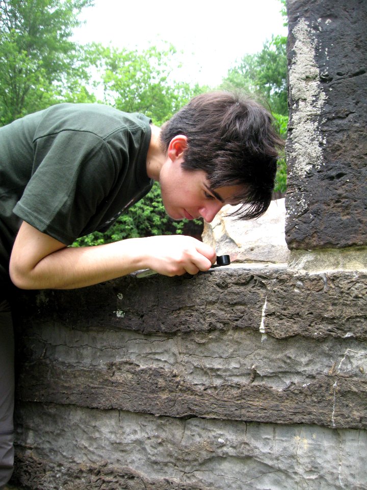 Looking for fossils