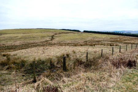 Farmland at Bogg