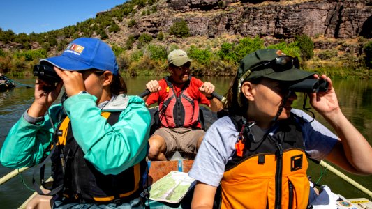 Dinosaur National Monument Monarch Survey