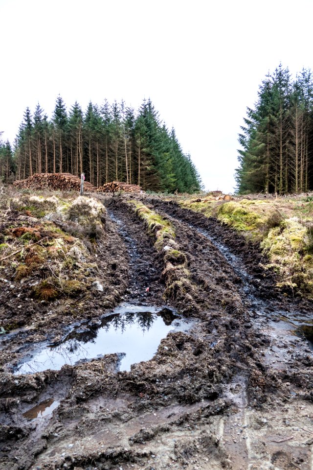 Forest operations on path at Southern Upland Way near Laggangarn