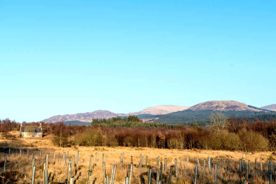Hills behind Loch Trool in Galloway Forest Park