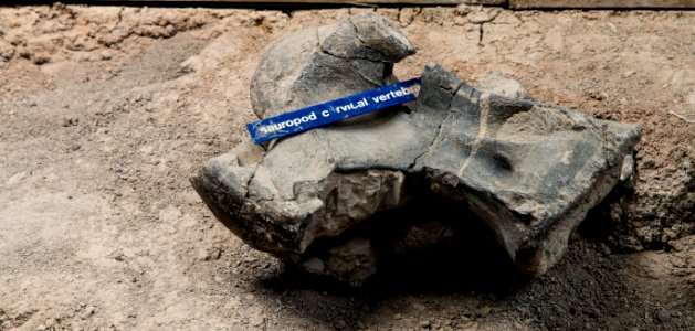 Cleveland-Lloyd Dinosaur Quarry, Utah photo