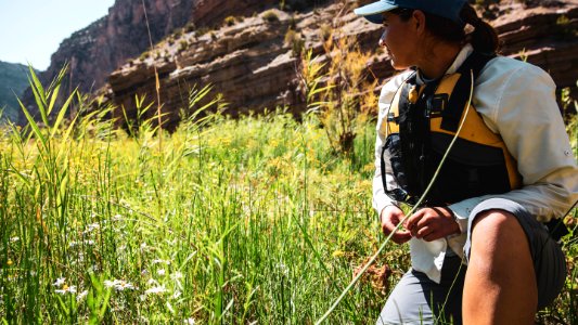 Dinosaur National Monument Monarch Survey