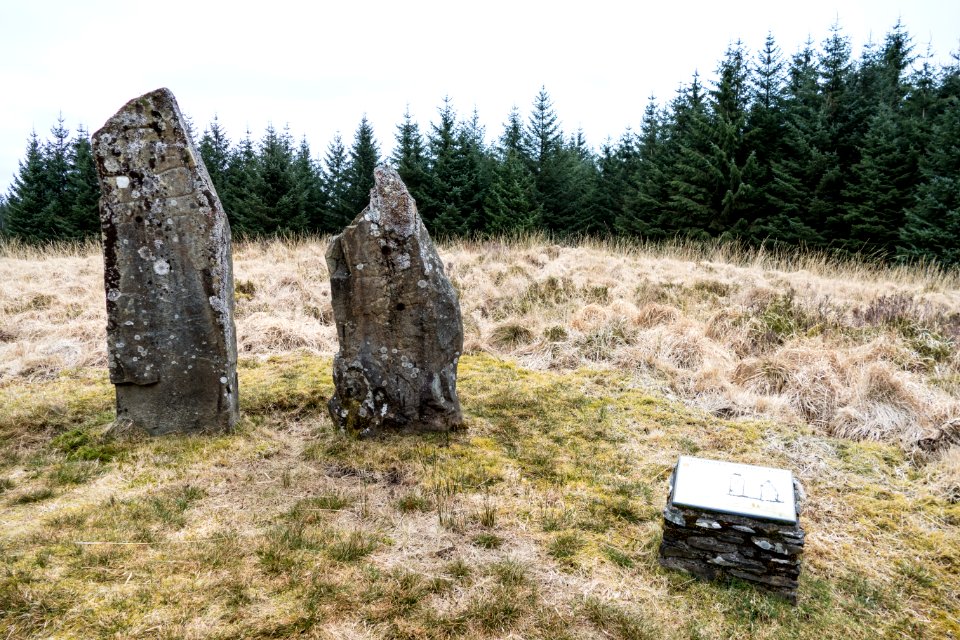 Standing stones near Laggangarn on Southern Upland Way