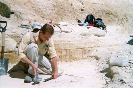 Examining limestone