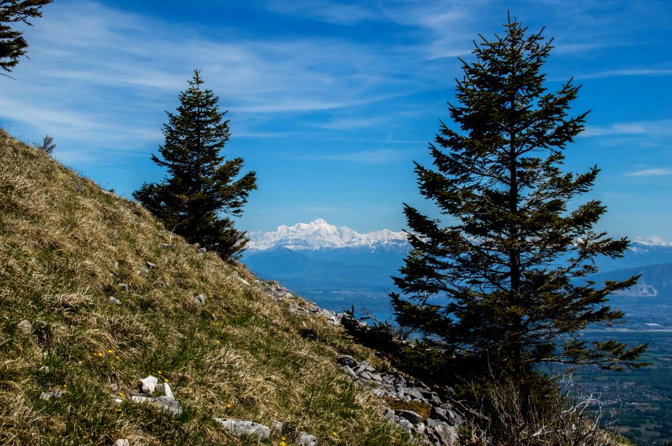 Randonnée des crêtes de Jura