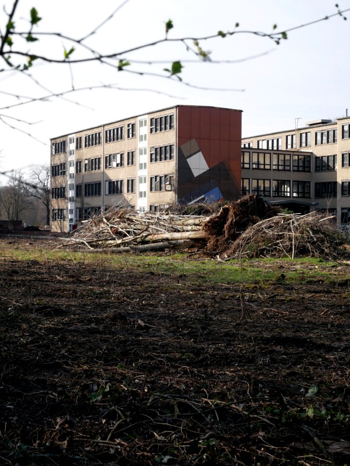 Die Schule. / 08.03.2020