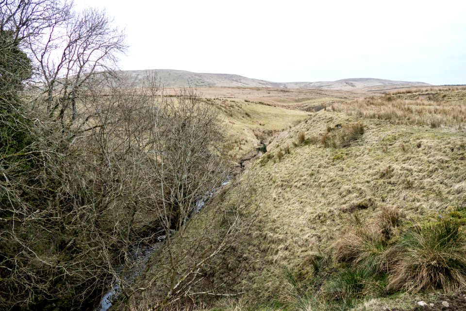 Loch Burn at Bogg Farm