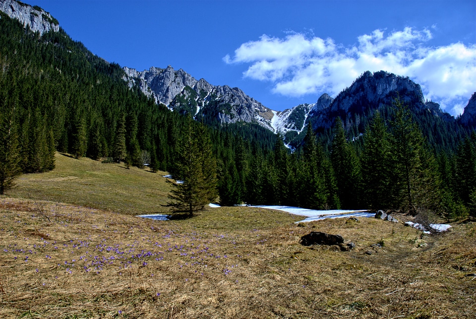 Spring tourism western tatras