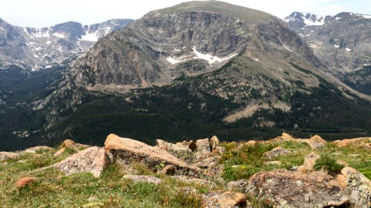 Rocky Mountain Tundra