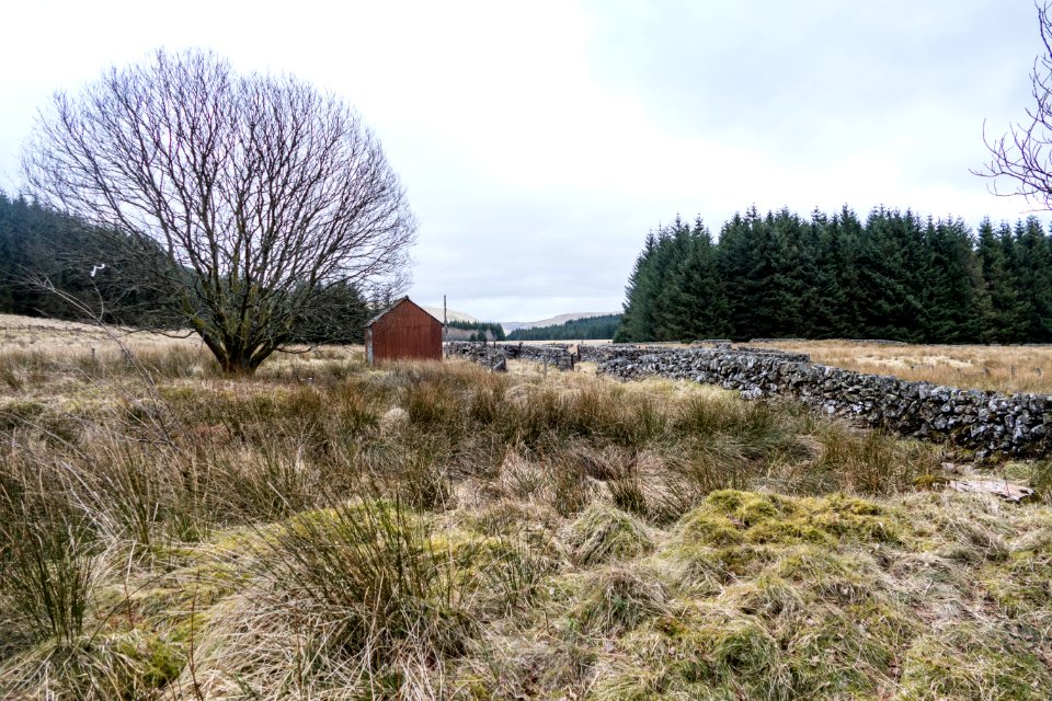 Shepherd's hut at Polskeoch