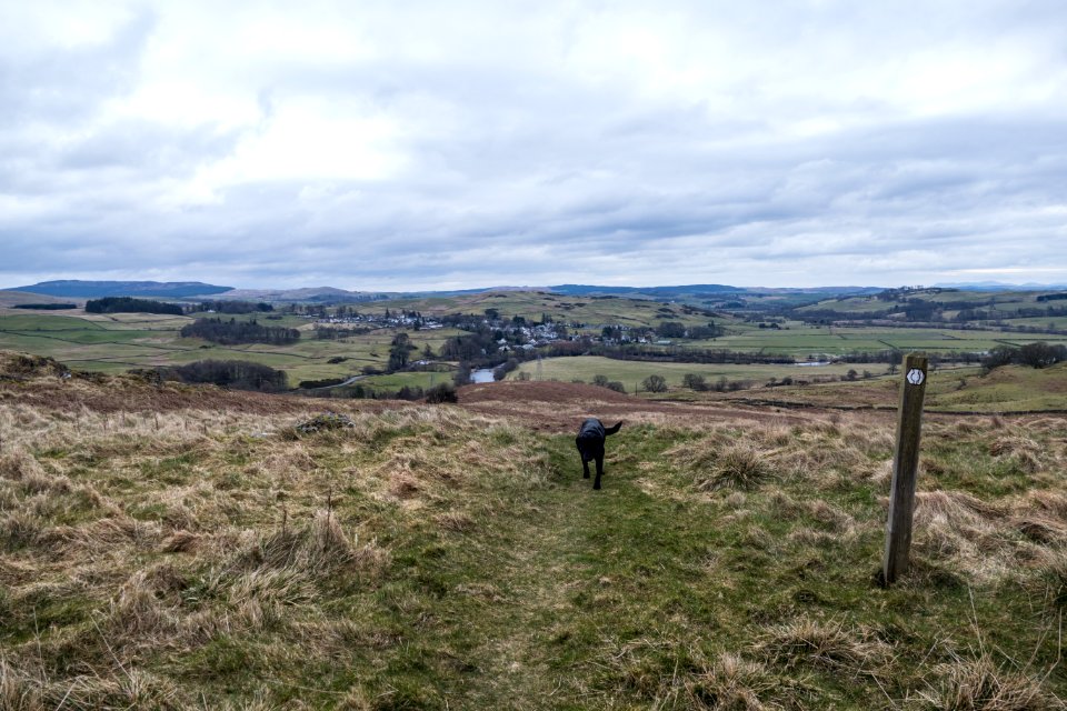 Waterside Hill with St Johns Town of Dalry in background