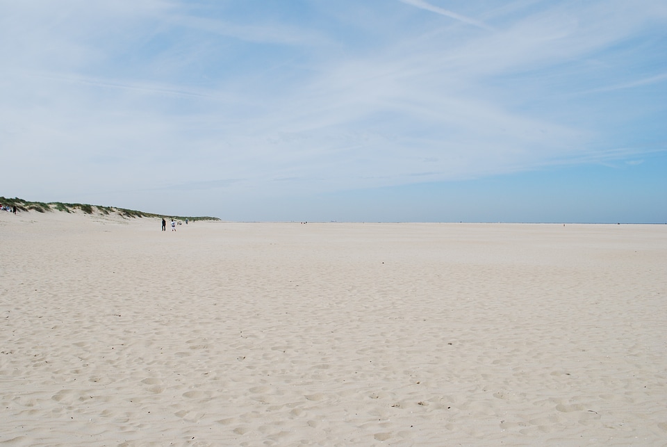 Sea beach summer