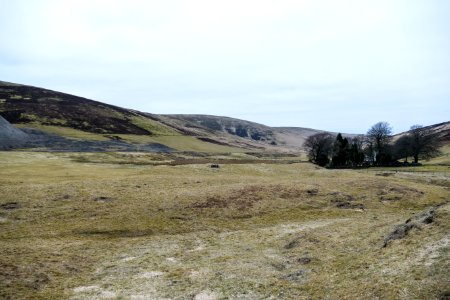 Meadowfoot from Wanlockhead
