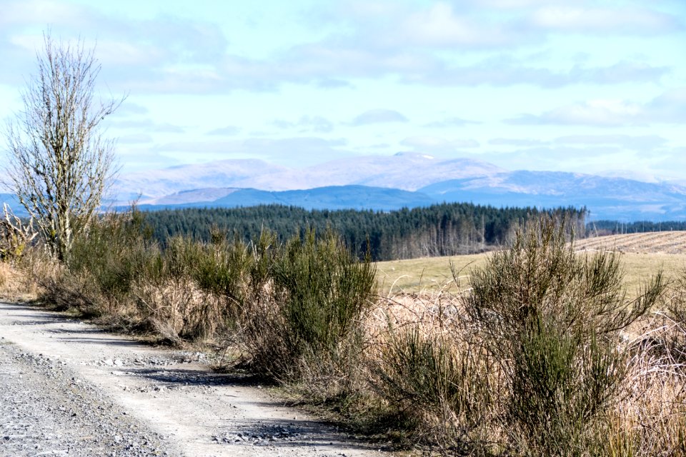 View towards Galloway Forest Park from Southern Upland Way near Loch Derry