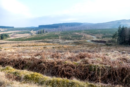White Knowe from Southern Upland Way