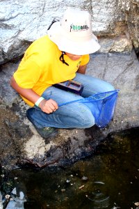 Youth ambassador Dara nets aquatic insects. Photo by NPS/Todd M. Edgar.