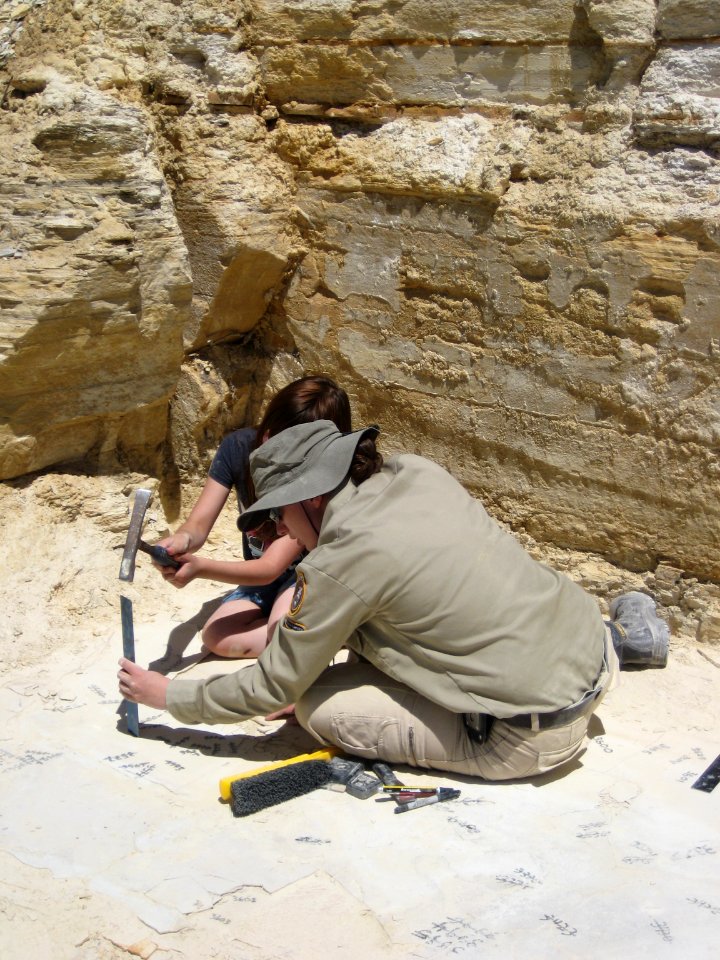 GeoCorps interns