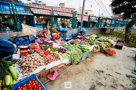 Nepal 2018 4939 photo