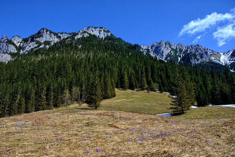 Spring tourism western tatras