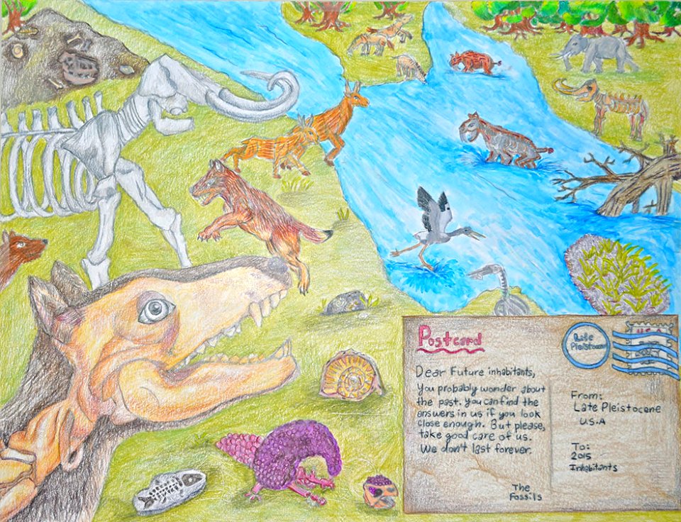 (2015) 9-13 Year Old Category