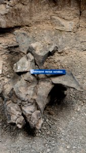 Cleveland-Lloyd Dinosaur Quarry