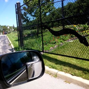 20170702 113628 - Tabernacle-of-Praise-Church-Prouty-Ave,Toledo,OH