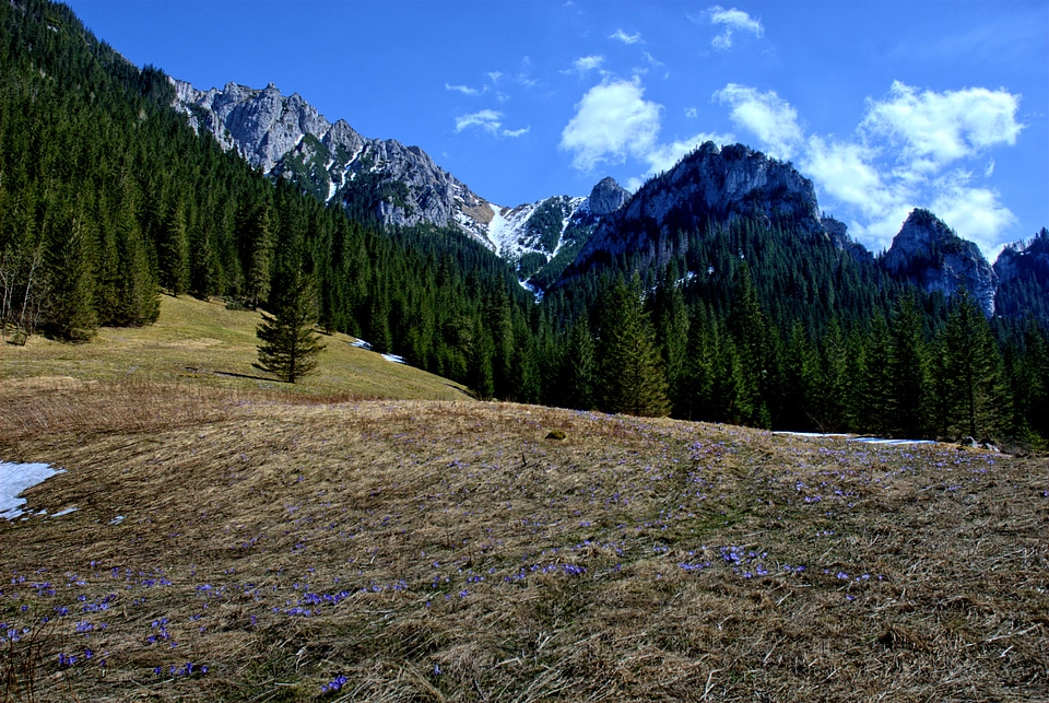 Spring tourism western tatras
