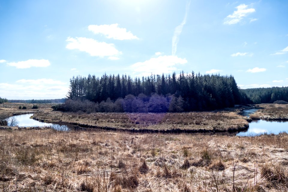 River Bladnoch near Waterside on Southern Upland Way