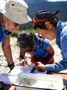 Bioblitz participants examine collected speicmens. NPS photo.