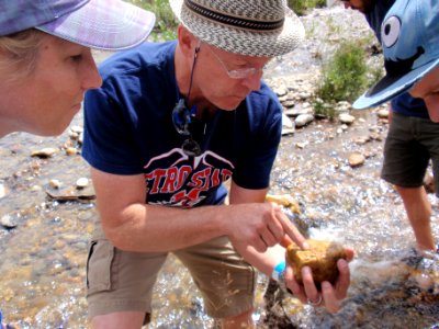 Dr. Hancock of Metro State University and participants examine black fly larvae. Photo by NPS/Brittni Medina.