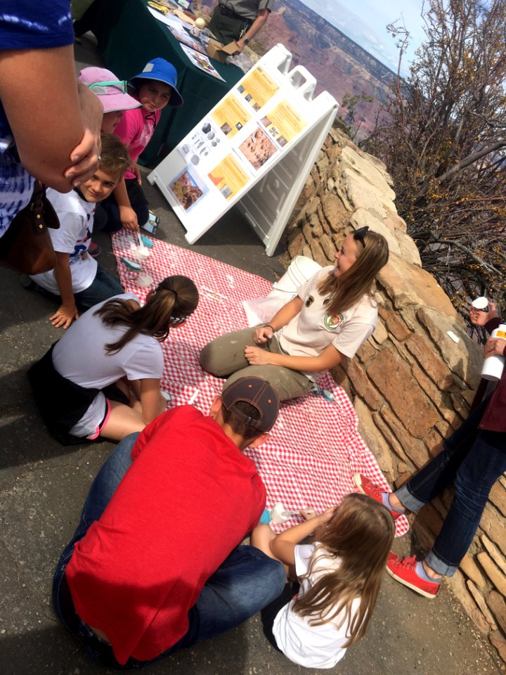 Anne making fossils with kids
