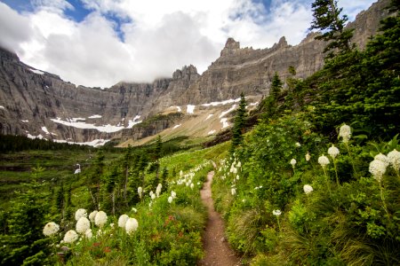 Iceberg Lake Trail