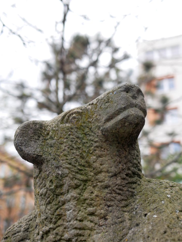 Der Bär. / 24.04.2021