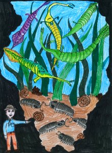 (2013) 9-13 Year Old Category