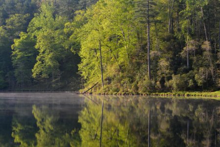 Otter Lake at Sunrise Blue Ridge Parkway Milepost 63 photo