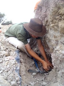 Quarrying for fossiliferous mudstone