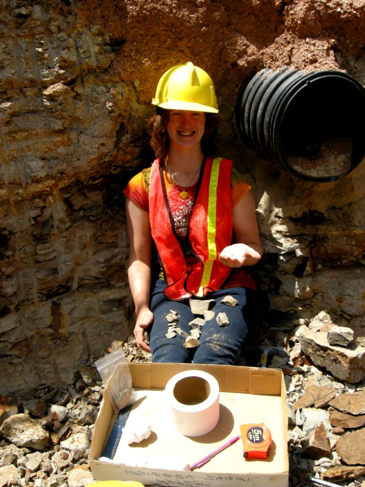 Digging for fossils