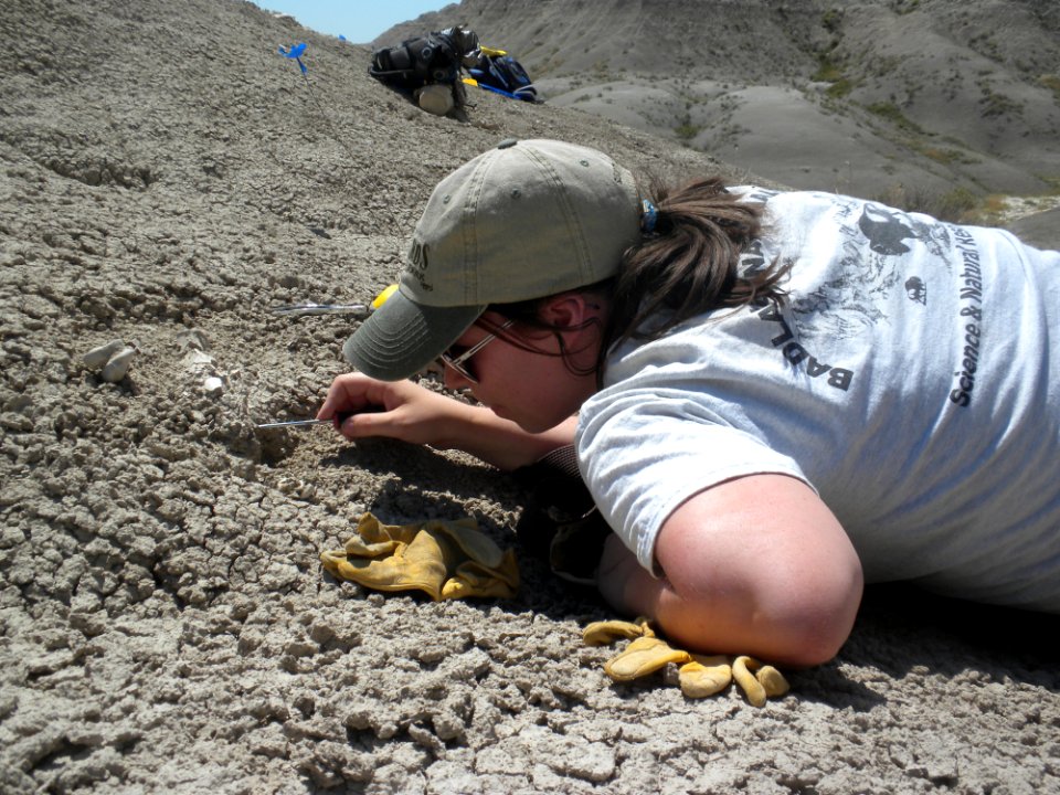 Identifying teeth