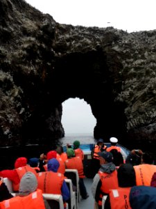 Paracas2