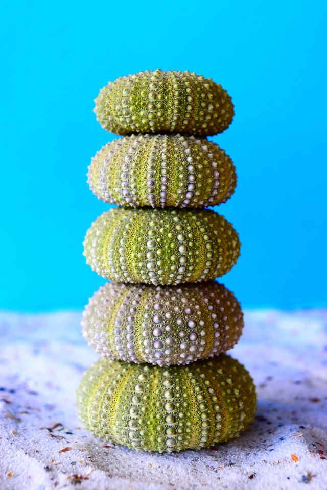 Sand sea green