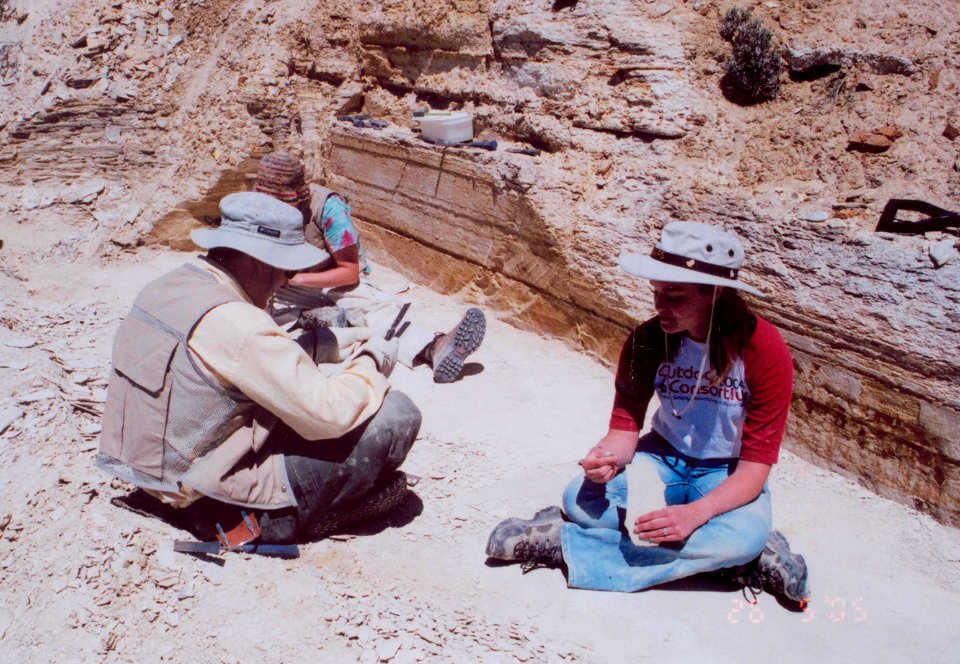 Looking for fossils