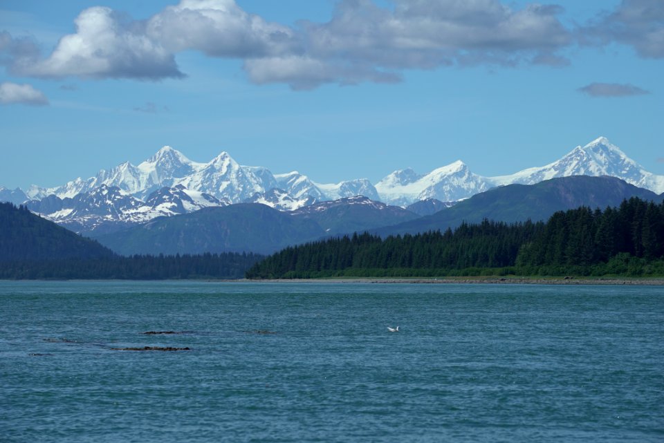 Episode 9: Underwater Conversations in Glacier Bay