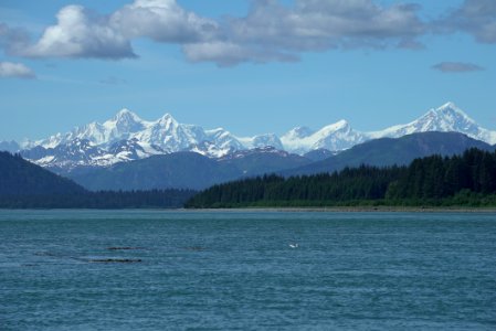 Episode 9: Underwater Conversations in Glacier Bay