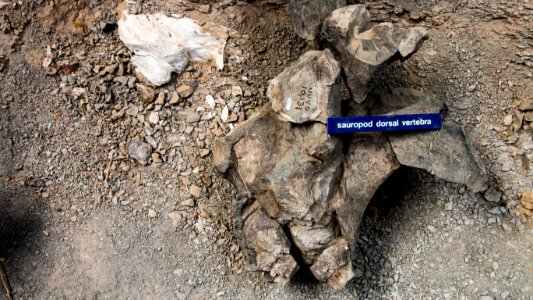 Cleveland-Lloyd Dinosaur Quarry photo