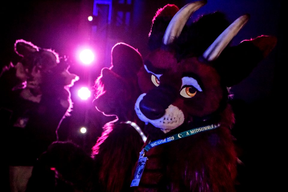 VancouFur 2019 194sfx