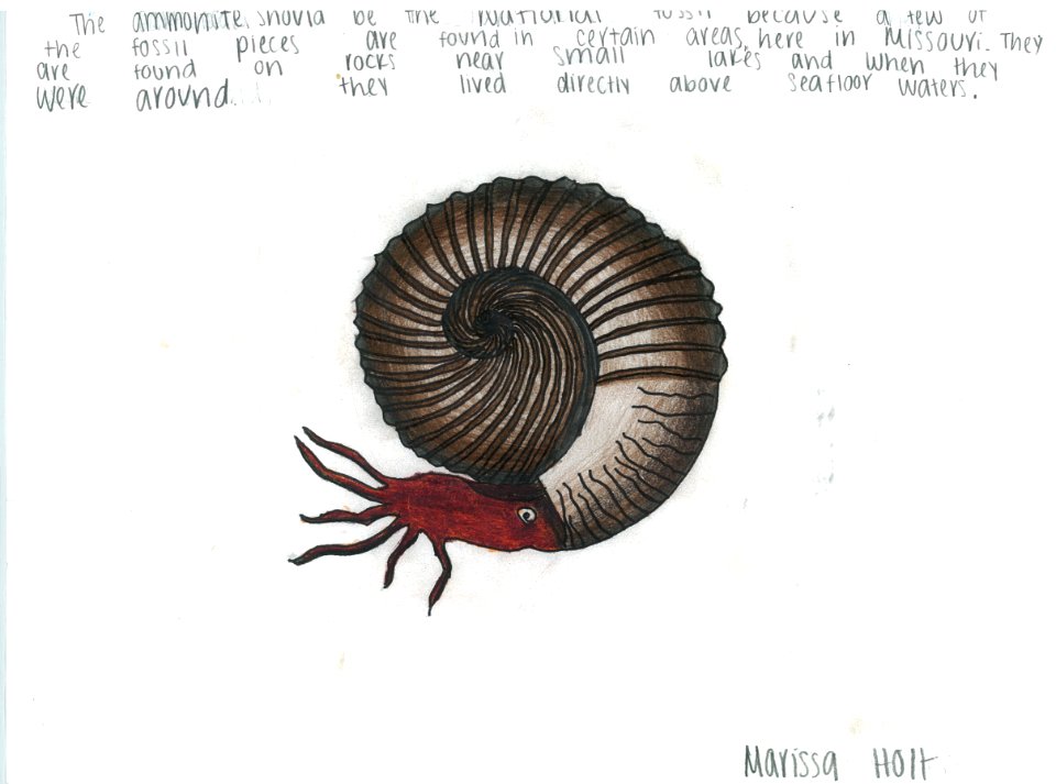 (2013) 14-18 Year Old Category