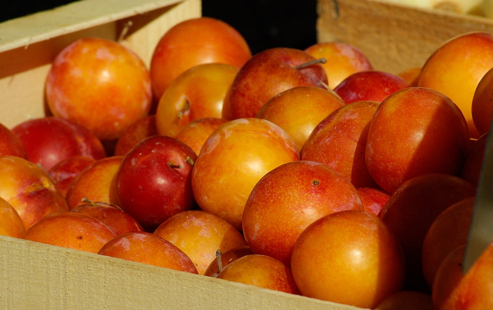 Plums fruit market