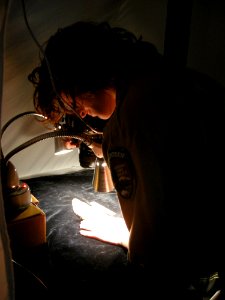 Photographing fossils