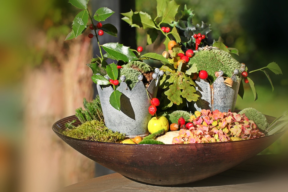 Fruits thanksgiving rose hip